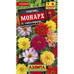 Георгина Монарх, смесь сортов --- Одн